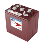 BATERIA TROJAN T105-6V-PLUS