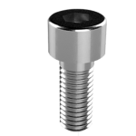 TORNILLO M8 x 25